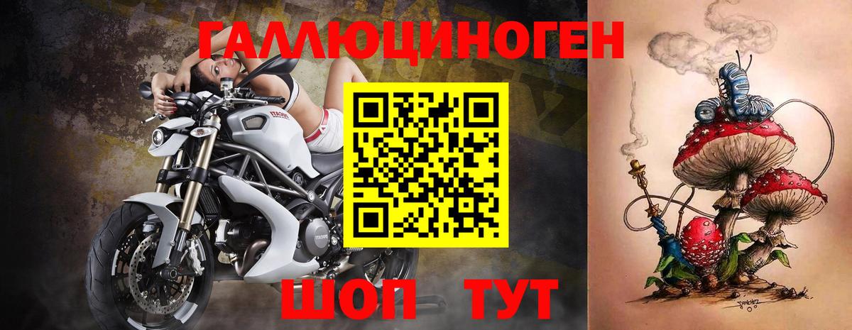 Псилоцибиновые грибы Psilocybine cubensis Снежинск